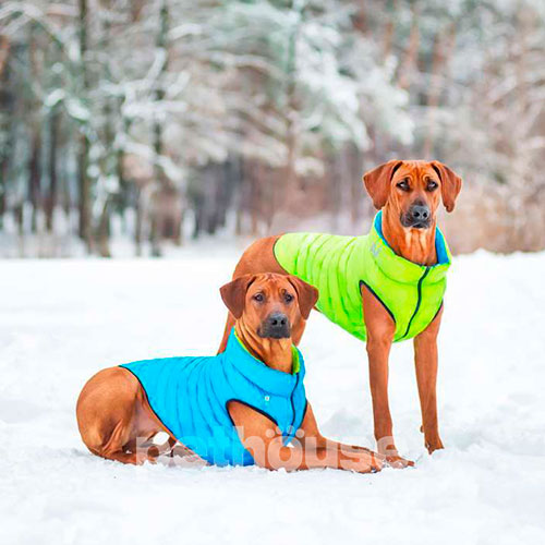 Collar AiryVest Двусторонняя курточка для собак, салатово-голубая, фото 3