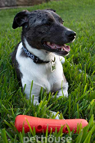 Dexas Off-Leash Tumbler Гантель с карабином для собак, фото 5