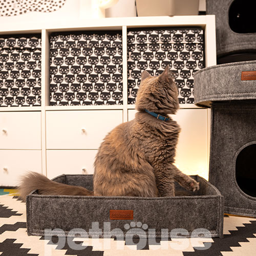 Pethouse Лежак Box для кошек и собак, серый, фото 6