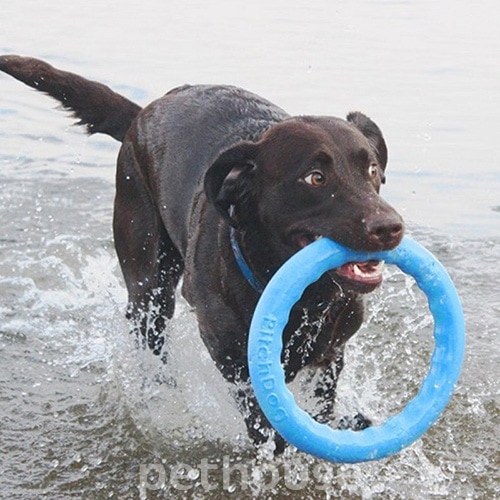 PitchDog Игровое кольцо для собак, 28 см, фото 7