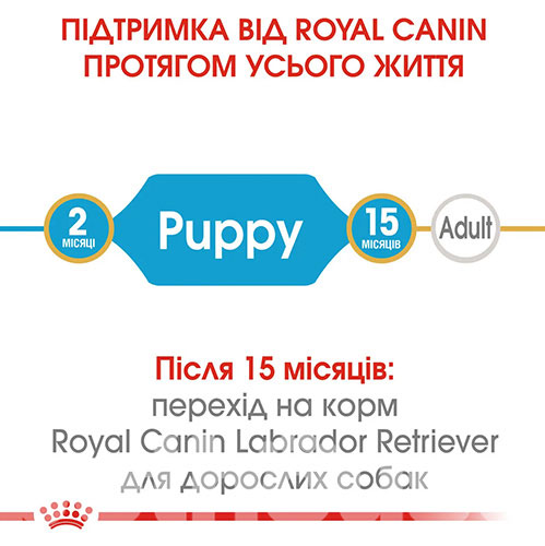 Royal Canin Labrador Retriever Puppy, фото 5