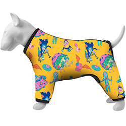 Collar WAUDOG Clothes Дощовик "Рік і Морті 3" для собак 