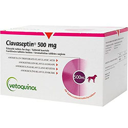 Клавасептин Таблетки, 500 мг