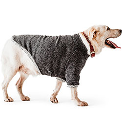 Noble Pet Frederick Dark Grey Світшот з флісом для собак, темно-сірий