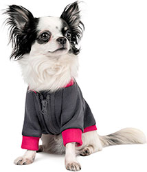 Pet Fashion Толстовка "Bim" для собак