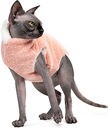 Pet Fashion Свитер "Cat" для кошек, персиковый