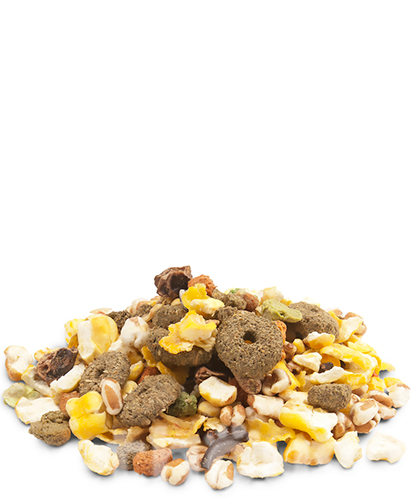 Versele-Laga Crispy Snack Popcorn, фото 2