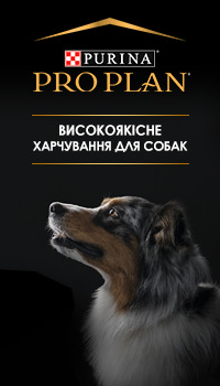 Purina Pro Plan_dog