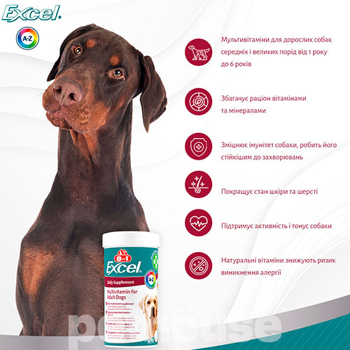 8in1 Excel Multi-Vitamin Adult Dog