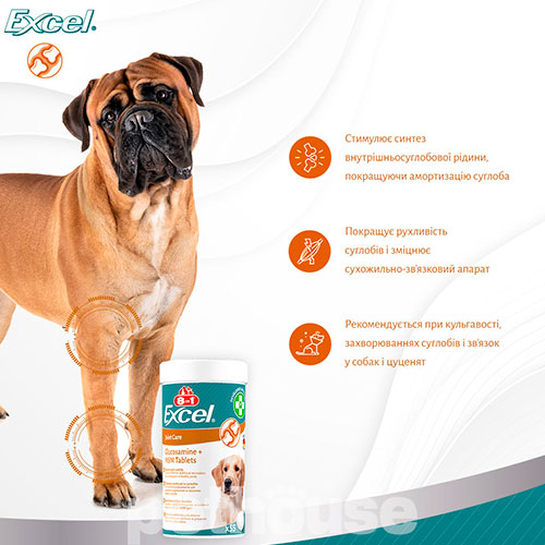 8in1 Excel Glucosamine MCM