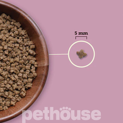 Acana Highest Protein Kitten 38/19