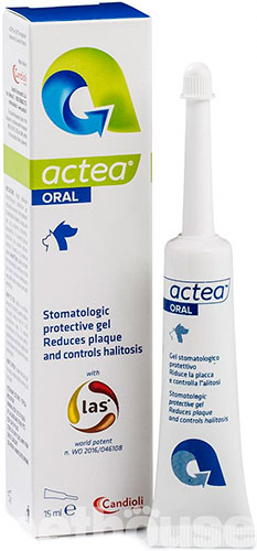 Actea Oral Высокоадгезивный стоматологический защитный гель