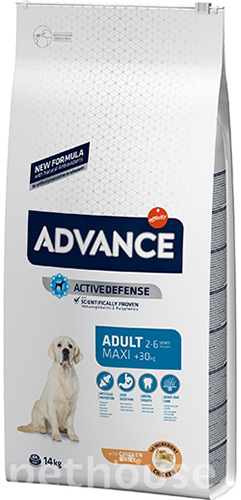 Advance Maxi Adult (з куркою та рисом)