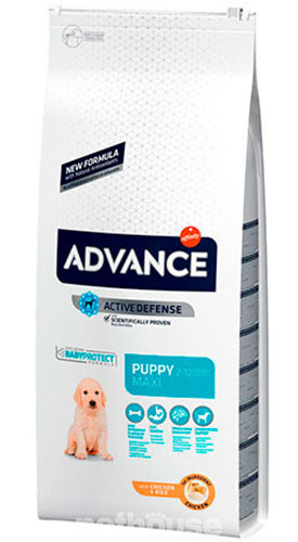Advance Maxi Puppy (з куркою та рисом)
