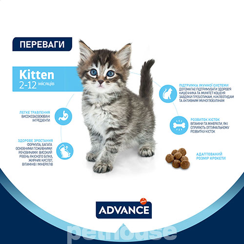 Advance Kitten Chicken & Rice