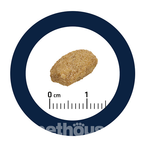 Advance Cat Sterilized Turkey & Barley