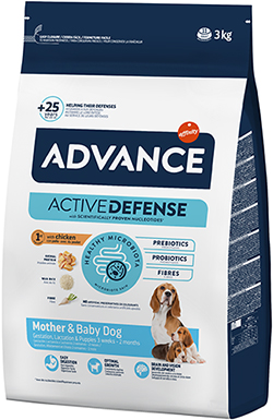 Advance Mother Dog & Initial (Puppy Initial)