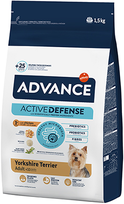 Advance Yorkshire Terrier