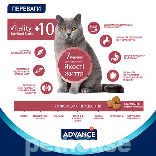 Advance Cat Senior Sterilized Chicken & Barley
