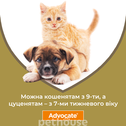Bayer Advocate для кошек от 4 до 8 кг, фото 6