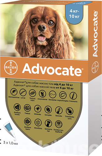 Advocate для собак от 4 до 10 кг