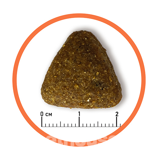 Almo Nature Holistic Dog Adult Large with Fresh Beef