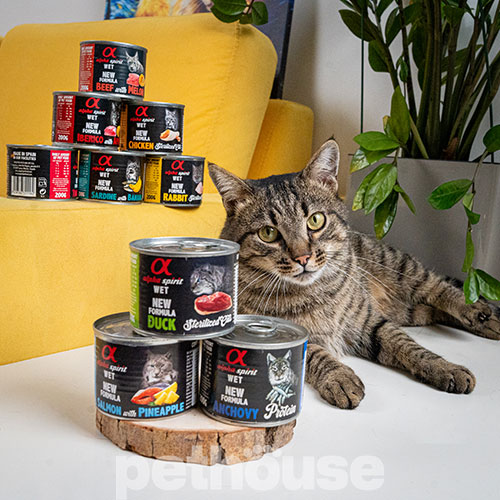 Alpha Spirit Cat Adult Beef with Melon Cans