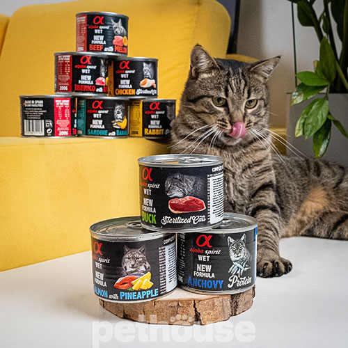 Alpha Spirit Cat Adult Beef with Melon Cans