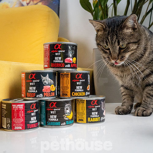 Alpha Spirit Cat Adult Beef with Melon Cans