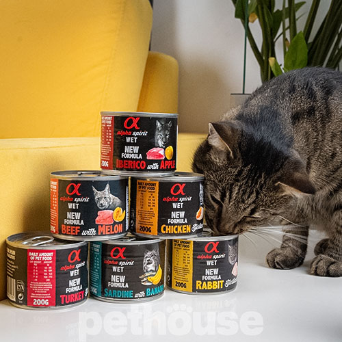 Alpha Spirit Cat Adult Beef with Melon Cans