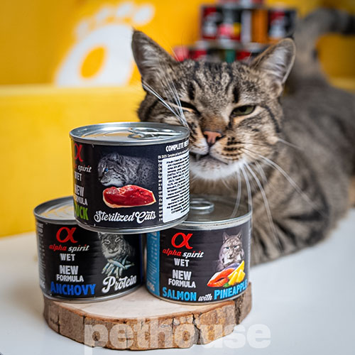 Alpha Spirit Cat Adult Beef with Melon Cans
