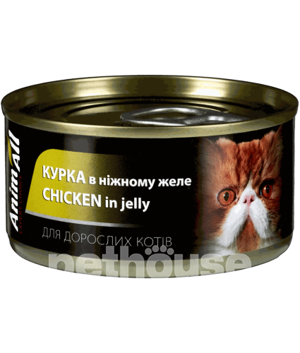 AnimAll Курка в ніжному желе для котів