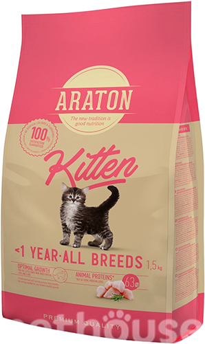 Araton Kitten