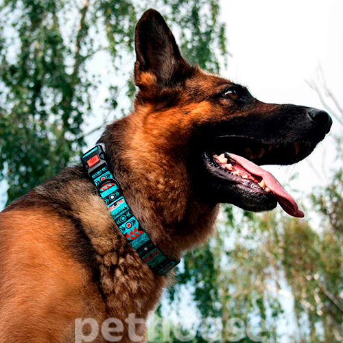 Barksi Urban Нашийник "Інки" з пластиковою пряжкою для собак