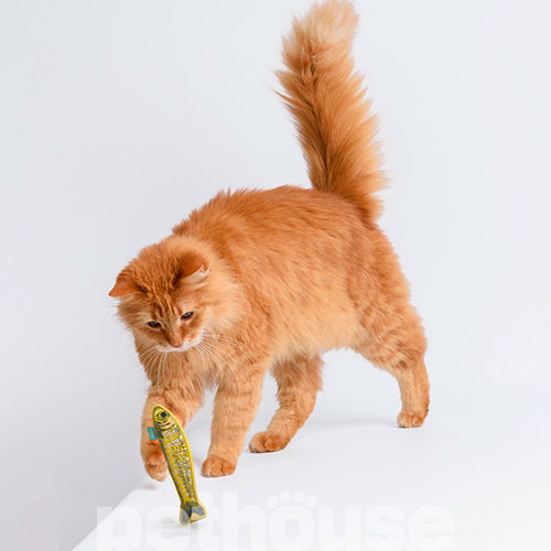 Barksi Рибки шпроти з котячою м'ятою та дзвіночком для котів, фото 7