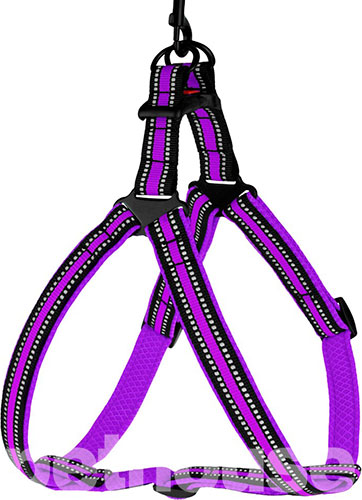 Barksi Mesh Шлея "Стандарт" для собак, фиолетовая Barksi Mesh Шлея "Стандарт" для собак, фиолетовая