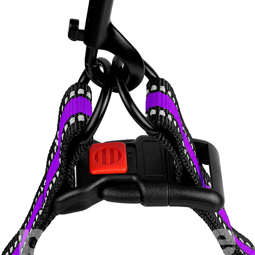 Barksi Mesh Шлея "Стандарт" для собак, фиолетовая Barksi Mesh Шлея "Стандарт" для собак, фиолетовая