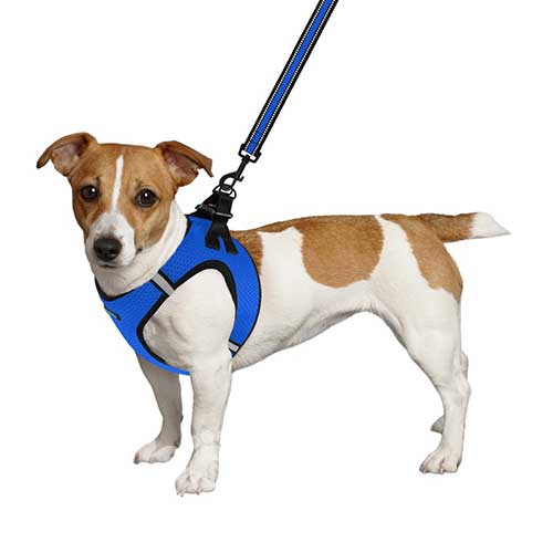 Barksi Mesh Шлея "Vest" для собак, синя