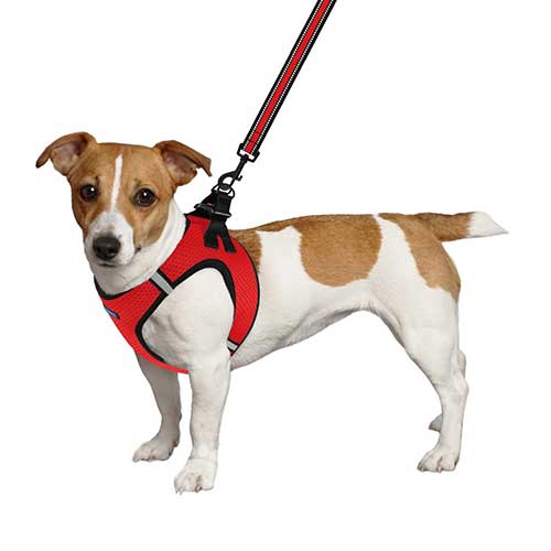 Barksi Mesh Шлея "Vest" для собак, червона