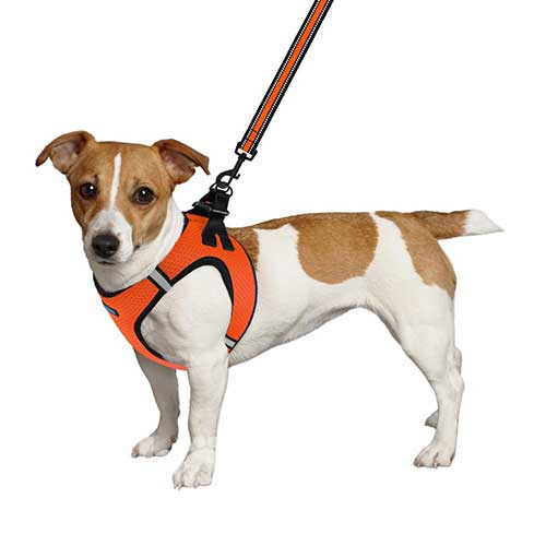 Barksi Mesh Шлея "Vest" для собак, помаранчева
