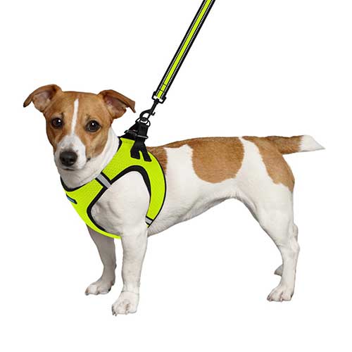 Barksi Mesh Шлея "Vest" для собак, лимонна