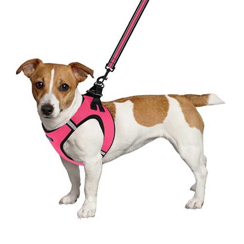 Barksi Mesh Шлея "Vest" для собак, розовая