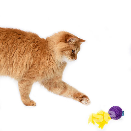 Barksi Мяч с колокольчиком и перьями для кошек, фото 4
