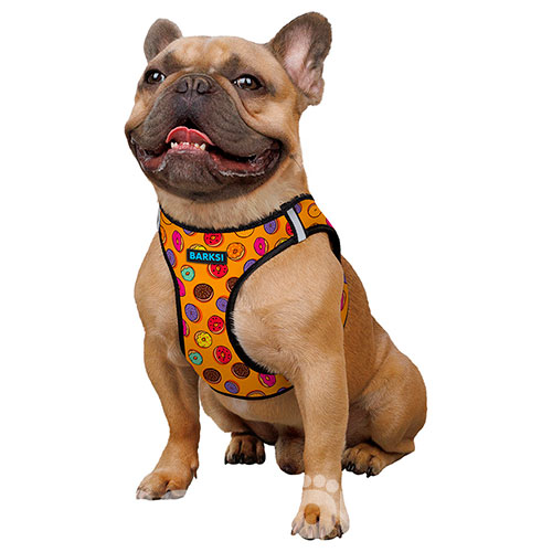 Barksi Sport Vest Шлея "Пундики" для собак дрібних та середніх порід