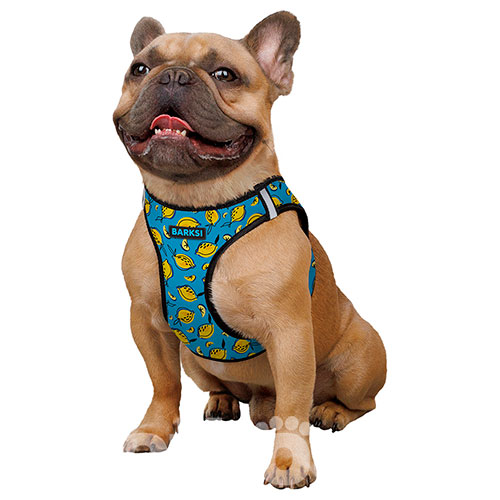 Barksi Sport Vest Шлея "Лимони" для собак дрібних та середніх порід