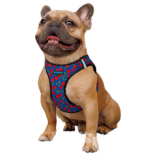 Barksi Sport Vest Шлея "Вишни" для собак мелких и средних пород