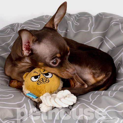 Barksi Ведмедик з пискавкою та канатом для собак