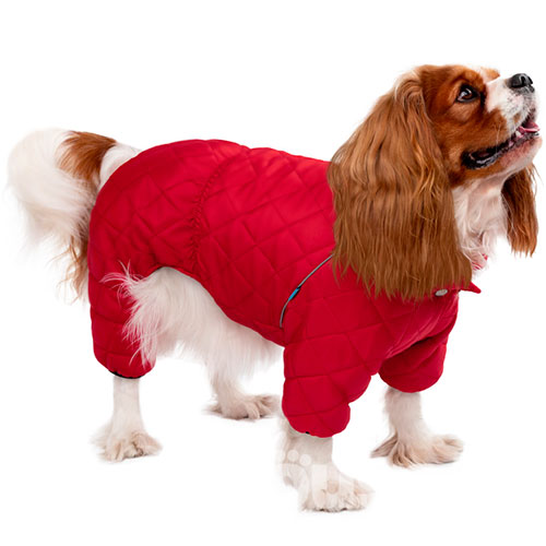 Barksi Textile Комбинезон для собак, красный