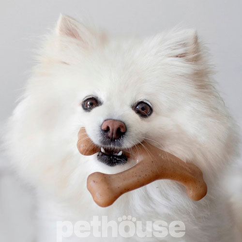 Benebone Wishbone Bacon Жувальна іграшка зі смаком бекону для собак