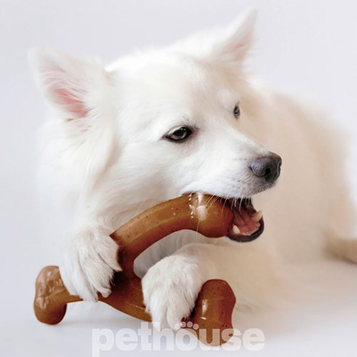 Benebone Wishbone Bacon Жувальна іграшка зі смаком бекону для собак